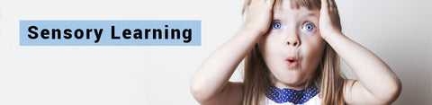 Sensory Learning